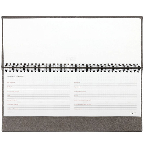 Планинг Sagrin, датированный, серый - рис 5.