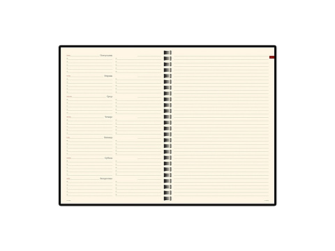 Еженедельник недатированный А5 Concept, красный (Р) - рис 2.