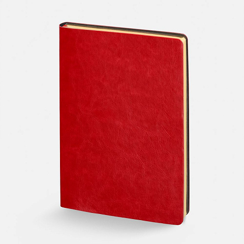 Набор Nebraska Flex, красный с золотистым - рис 4.